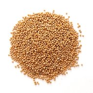 Mustard Seed Yellow
