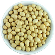 Organic Soy Beans Raw